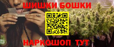 мдпв Партизанск