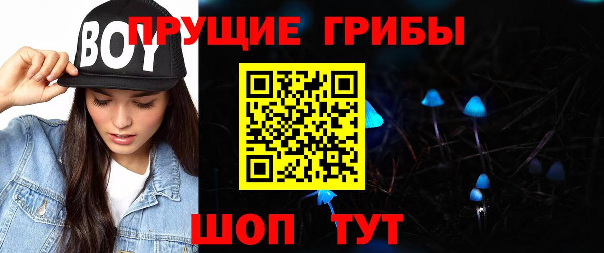 Галлюциногенные грибы Psilocybine cubensis  Вход с VPN  Тавда 
