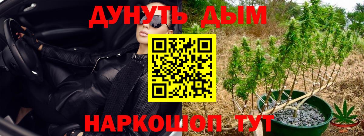 Канабис SATIVA & INDICA  Вход с VPN  Конопля Ganja  Шишки марихуана индика  Тавда 